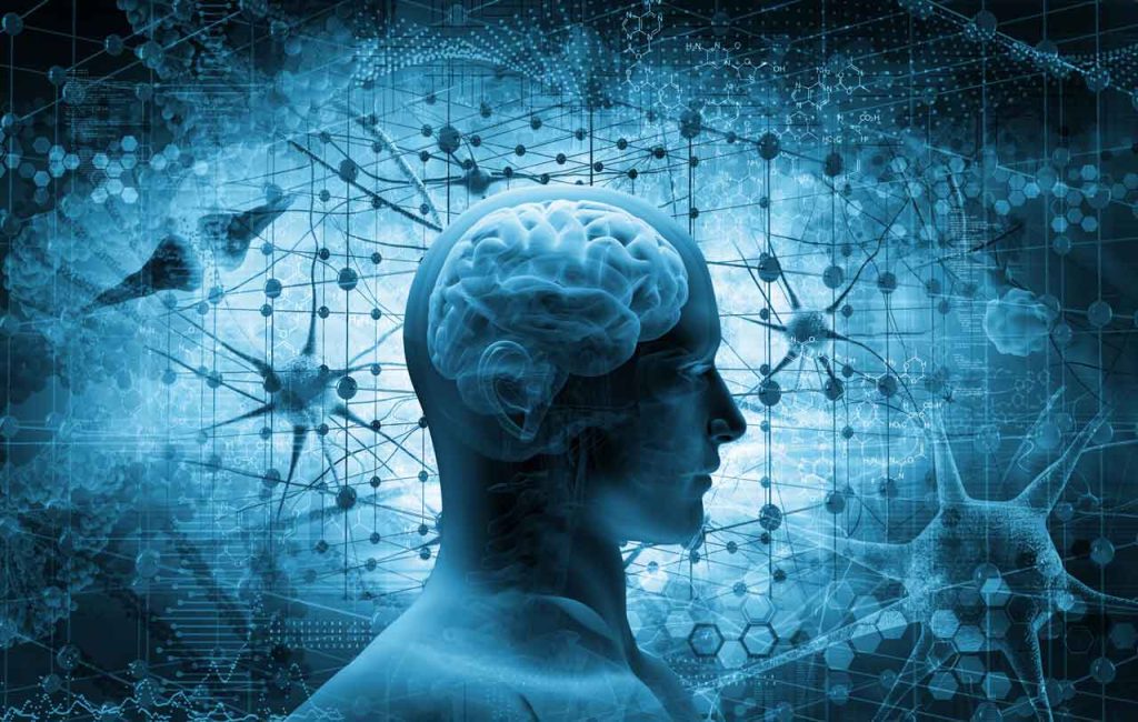 Brainwave Technology